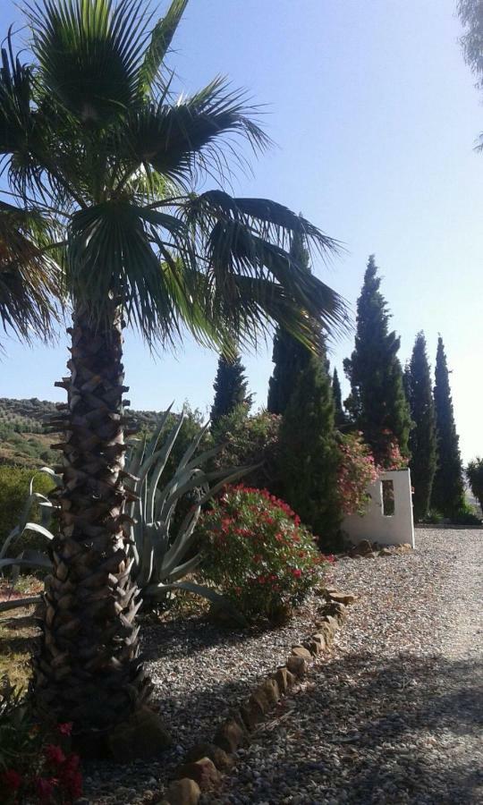 Casa Fuente De La Zorra Konuk evi Alora Dış mekan fotoğraf
