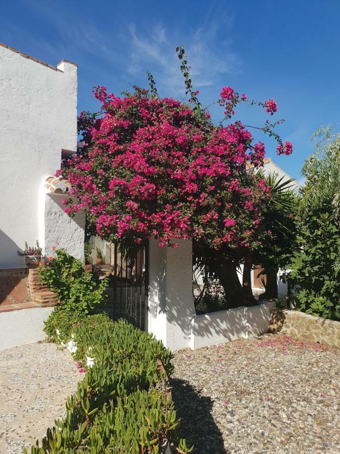 Casa Fuente De La Zorra Konuk evi Alora Dış mekan fotoğraf