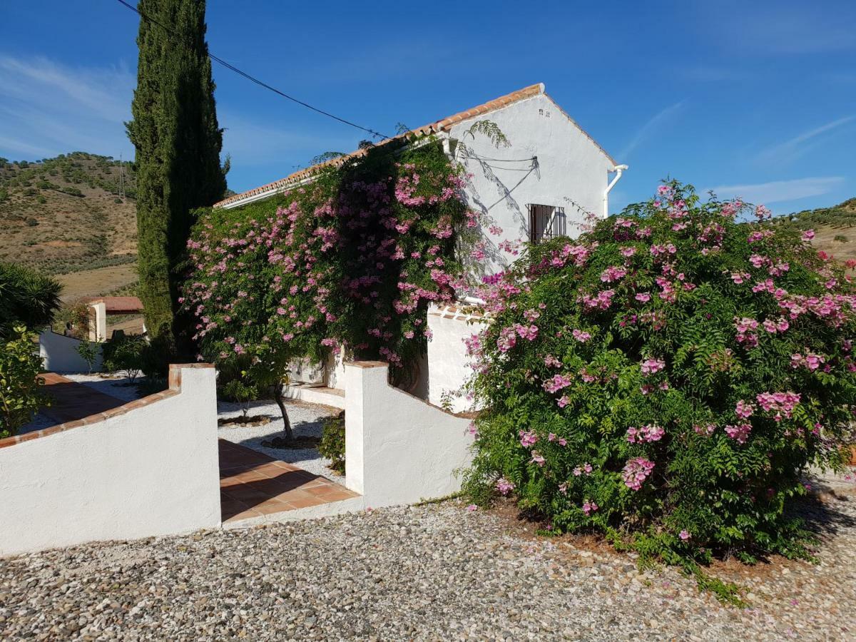 Casa Fuente De La Zorra Konuk evi Alora Dış mekan fotoğraf